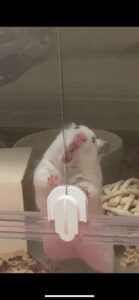 きょうから7がつ