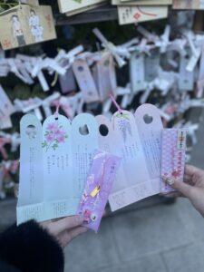 ( ՞ෆ ෆ՞ )