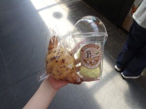 ( ՞ෆ ෆ՞ )