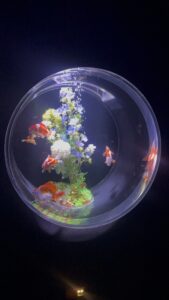 ⸜( ◜࿁◝ ⸝︎︎