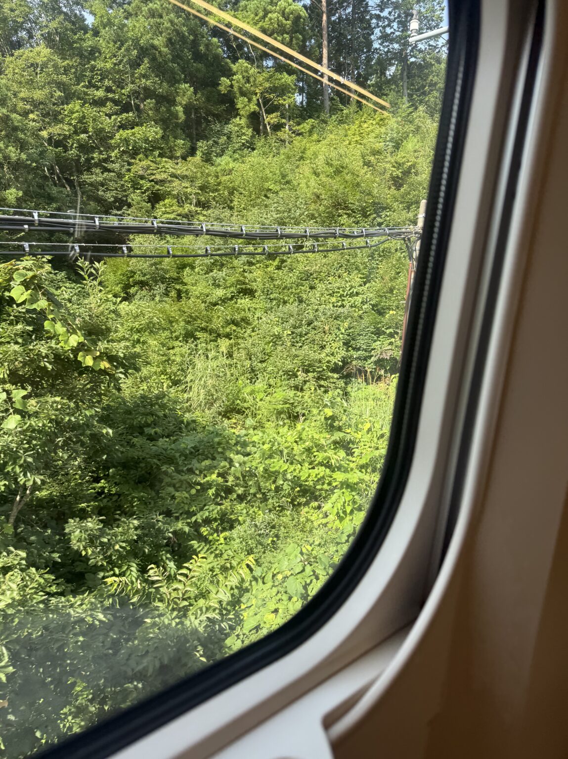 雨だねー☔️ - 川崎キャバクラ Club Rutilus ルチルス｜駅近×美女×高級空間