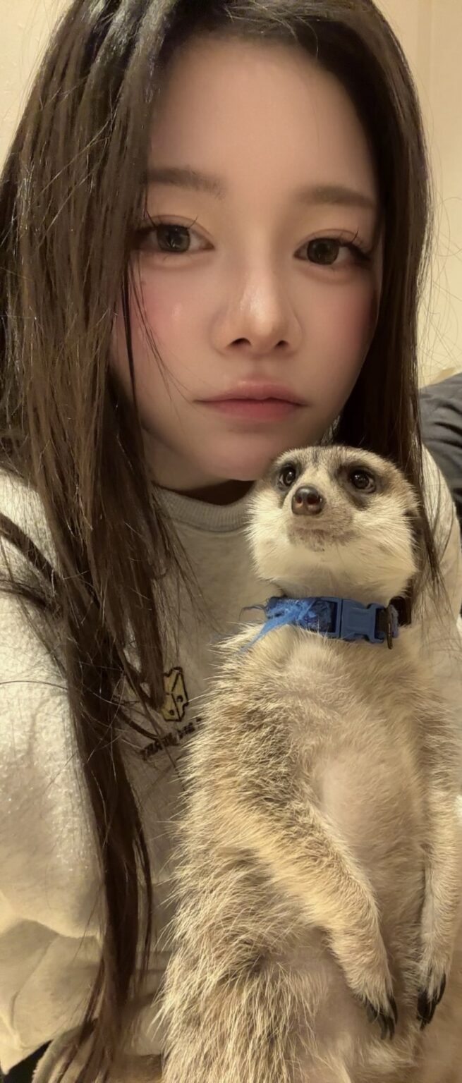 ミーアキャット - 川崎キャバクラ Club Rutilus ルチルス｜駅近×美女×高級空間