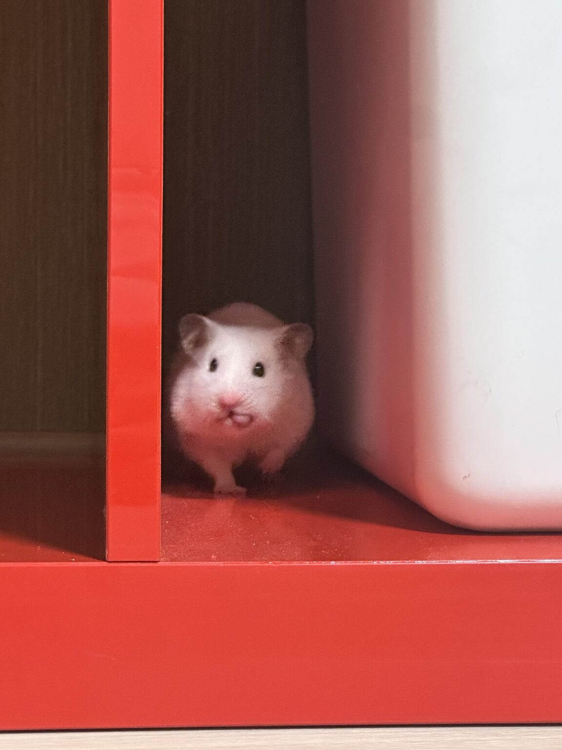 やきゅー？ - 川崎キャバクラ Club Rutilus ルチルス｜駅近×美女×高級空間