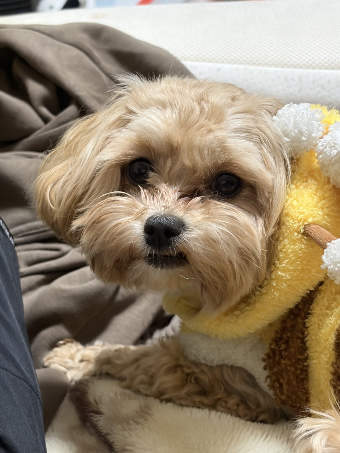 華金🌸 - 川崎キャバクラ Club Rutilus ルチルス｜駅近×美女×高級空間