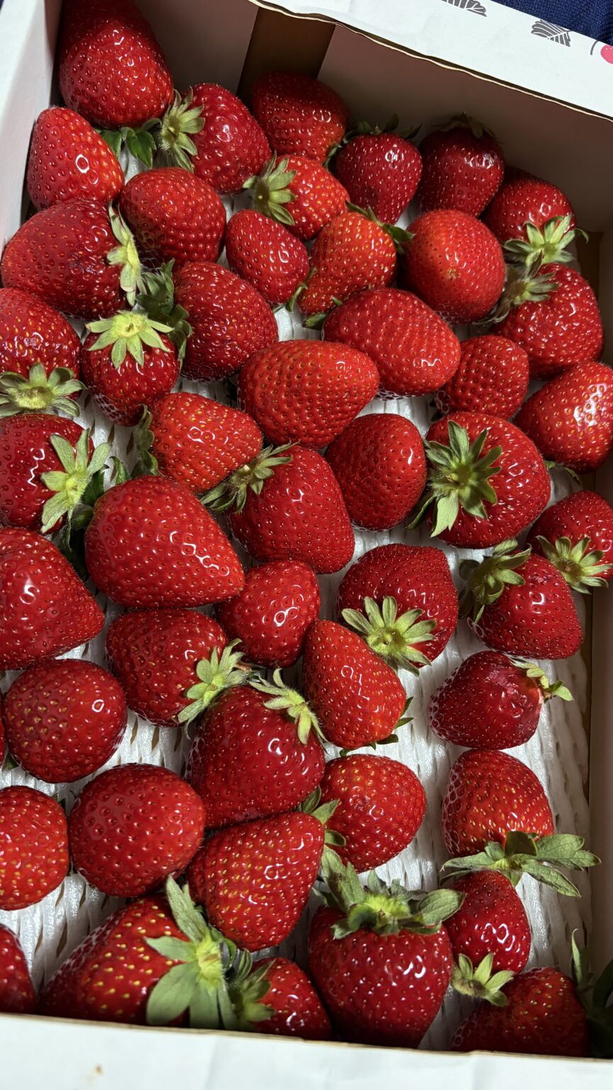 ざあざあ - 川崎キャバクラ Club Rutilus ルチルス｜駅近×美女×高級空間