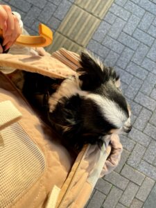 5/25💋